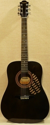 Акустическая гитара HOHNER HW-220 TBK/N/TWR