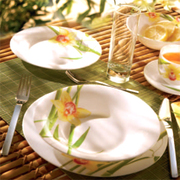 НОВИНКА ! Сервиз Luminarc BAMBOO TREE /X19 пр.