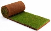 Рулонный газон,  зеленая трава в рулонах  продажа,  доставка,  укладка,  с