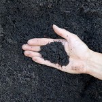 Грунт,  чернозем,  почва. Чернозем Киев. Продажа грунта,  чернозема
