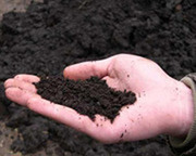 Чернозем,  грунт,  почва,  грунт для газонов Киев 223-42-91