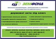 Землеустроительные услуги по Киевской области - Земфонд