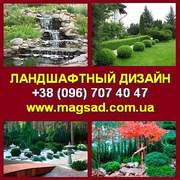 Ландшафтный дизайн от профессионалов - «Магия сада» Киев