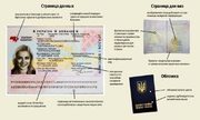   Шенгенские визы,  Мультивиза