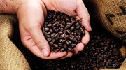 Бизнес на кофе: продажа и дистрибуция