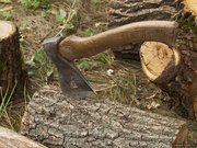 Продам дрова дуб,  ольха,  береза,  граб,  сосна резанные,  колотые