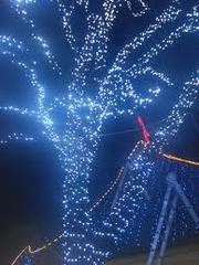 Гирлянды оптом,  украшение дома. Светодиодные гирлянды продам.