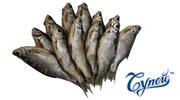Оптовые поставки рыбы и рыбной продукции по всему киеву и Украине