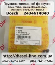 2434614040 Удерживающая пружина DAF,  Iveco,  KHD,  MAN,  Mercedes,  Renaul