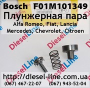 F01M101349 Плунжерная пара Alfa Romeo,  Fiat,  Lancia,  Mercedes,  Chevrol