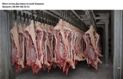 Мясо свинина оптом.Доставка по Украине