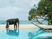 Отдых на море. Шри-Ланка. *