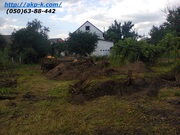 Удаление деревьев Киев,  0506388442 уборка участков и территорий.