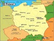 На офіційну роботу в Польщі потрібні спеціалісти та різноробочі.