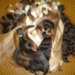 Скупаем натуральные волосы в населения по большим ценам.