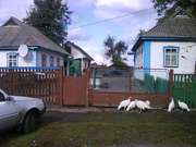 Продам дом в Мироновском районе