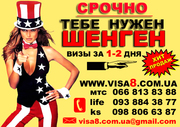 Visa8