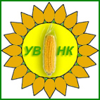 Високоякісні гібриди кукурудзи та соняшника угорської селекції