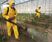 Все можливо з Ліцензією на торгівлю пестицидами