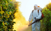Допомога в Ліцензії на торгівлю пестицидами