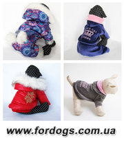 Одежда для собак Киев - зимние комбинезоны,  свитерки,  костюмы