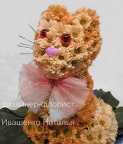 Котик из живых цветов