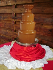 Шоколадный фонтан аренда в Киеве.