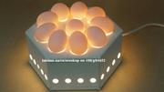 Портативный настольный овоскоп ОН-10лт  на 10 яиц