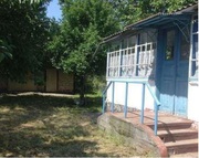 Продается дом с участком с. Витачев ( Обуховский р-н)