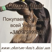 Продать волосы Киев,  скупка волос Одесса,  купим волосы Днепр,  покупаем