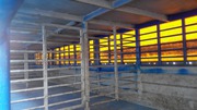 Продам двухэтажный полуприцеп для перевозки животных,  скотовоз SCHMITZ