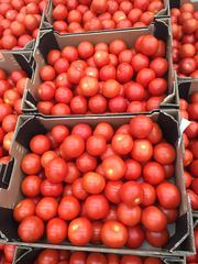 Предлагаем оптовые потавки томатов из Испании