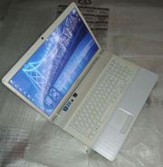 Ноутбук Sony VAIO VPCEJ2M1R White