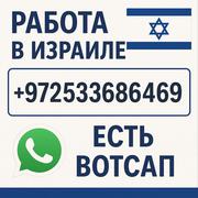 Работа в Израиле с визой и проживанием — от $3900 в месяц