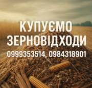 Постійно купуємо залишки с.г. продукції,  зерновідходи,  некондицію