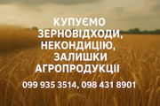 Купуємо некондиційне зерно та побічні продукти  