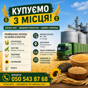 Приймаємо зернові та олійні культури