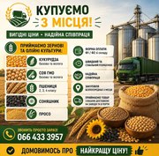 Закупівля врожаю з самовивозом та швидкою оплатою