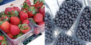 Продам свіжу полуницю та лохину