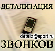 Услуга Детализация звонков с оплатой по факту выполнения 