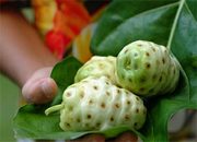 Сок TAHITIAN NONI®