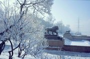 туры в петербург,  петербург на новый год,  рождество в питере,  автобус